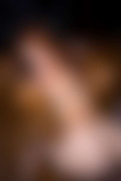 Taylor gallery 6