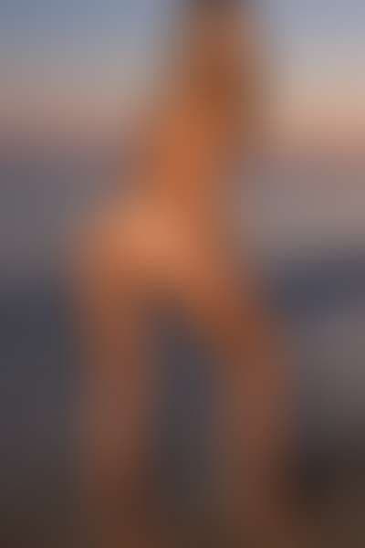Carmen gallery 5