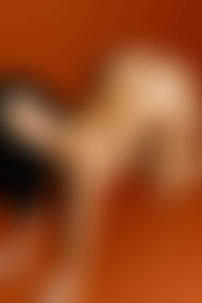 Andy gallery 1