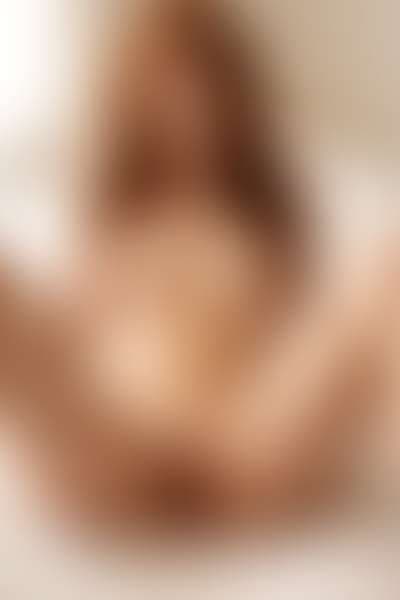 Taylor gallery 3